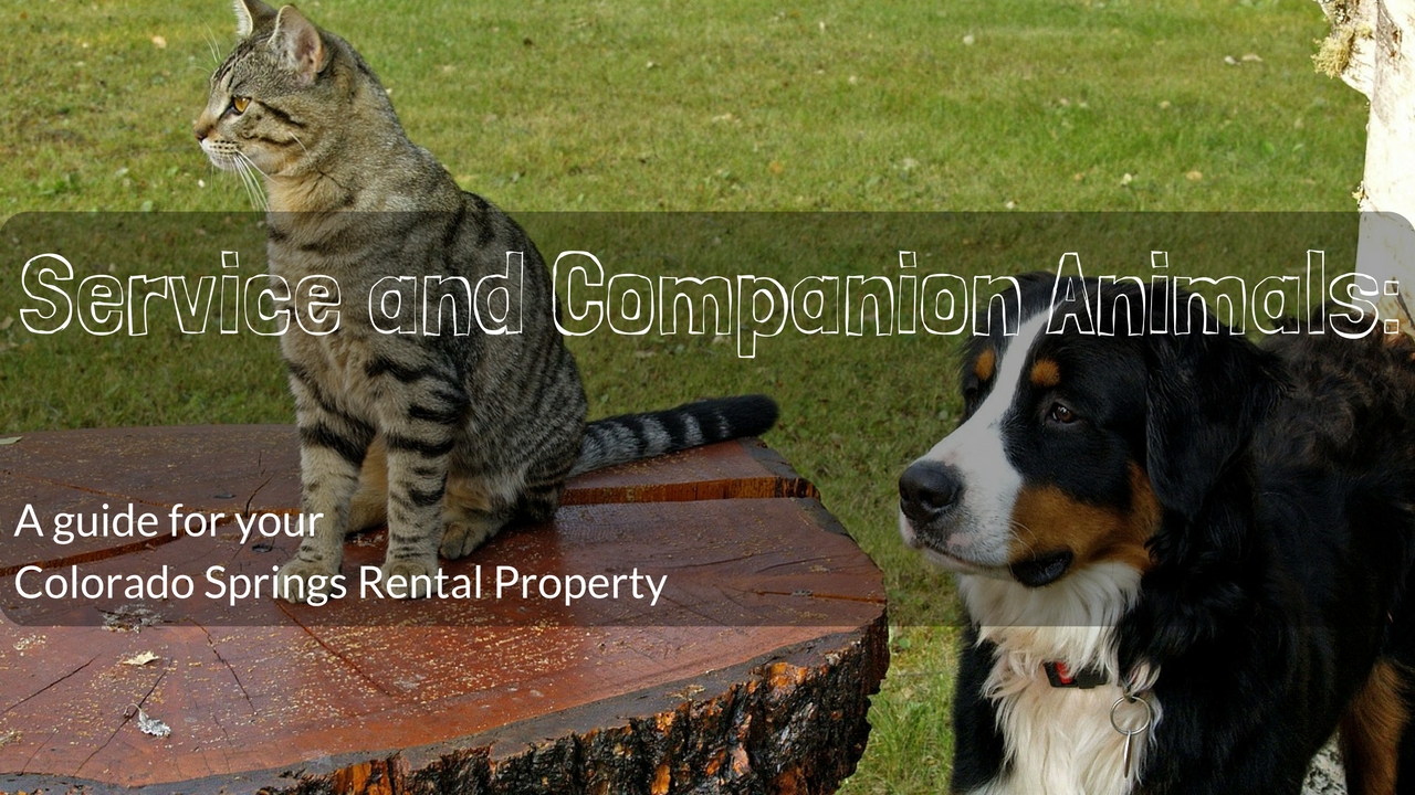 Service and Companion Animals: A guide for your Colorado Springs Rental Property