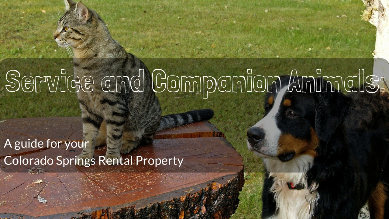 Service and Companion Animals: A guide for your Colorado Springs Rental Property