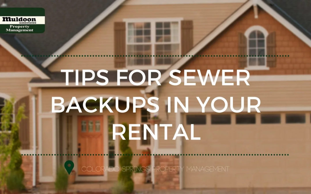 Tips for Sewer Backups in Your Rental | Property Management Advice in Colorado Springs, CO