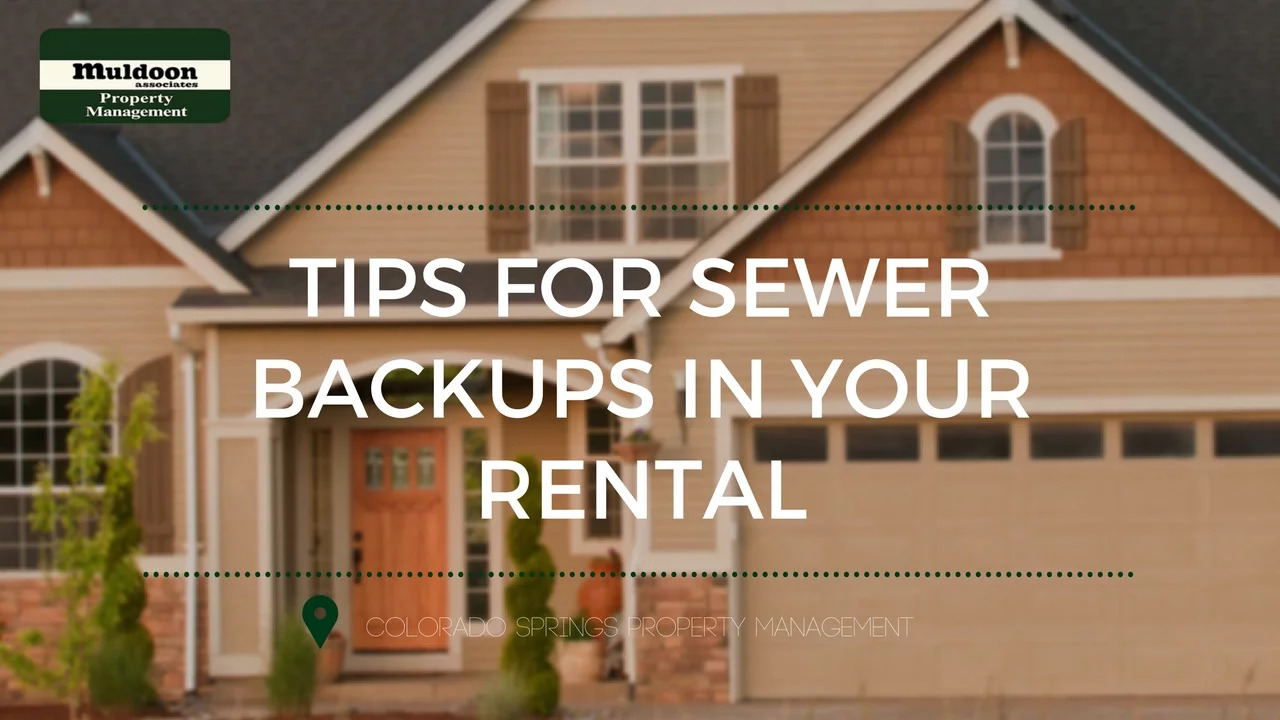 Tips for Sewer Backups in Your Rental Property Management Advice in