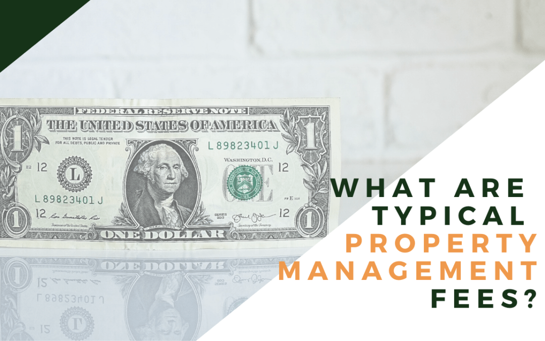 What Are Typical Property Management Fees for Colorado Springs?