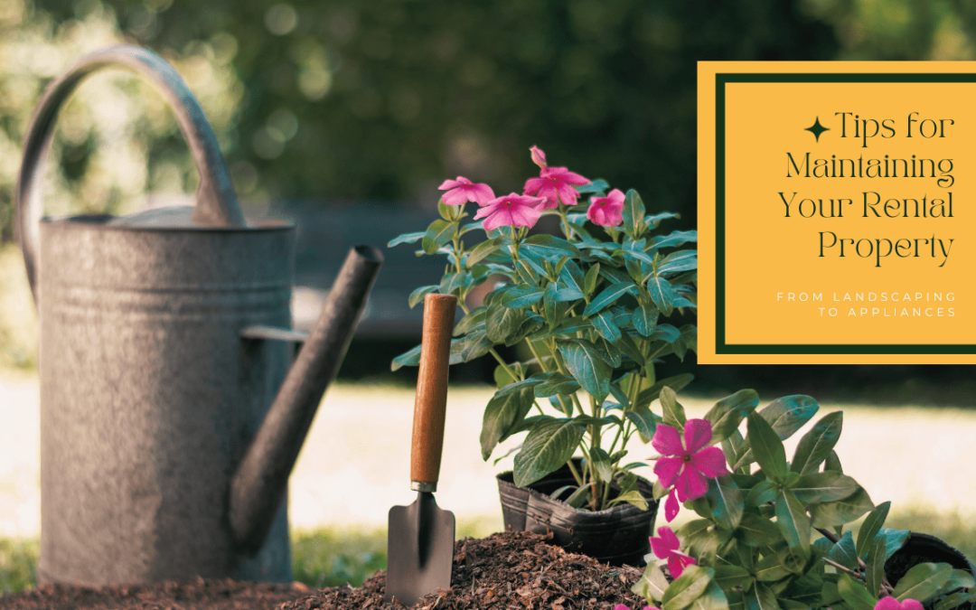 Tips for Maintaining Your Colorado Springs Rental Property: From Landscaping to Appliances